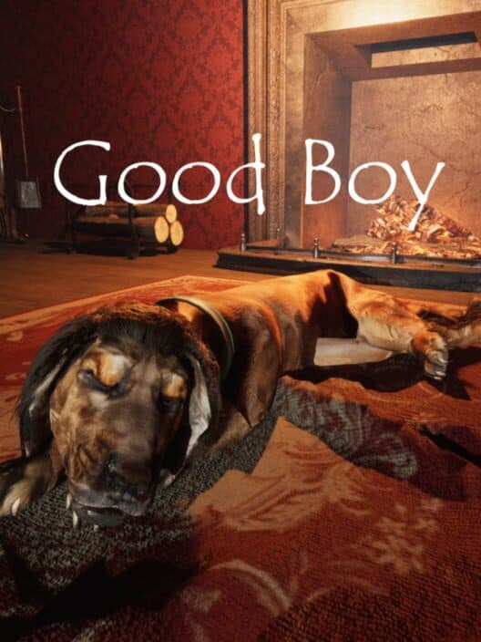 Обложка Good Boy The Long Night