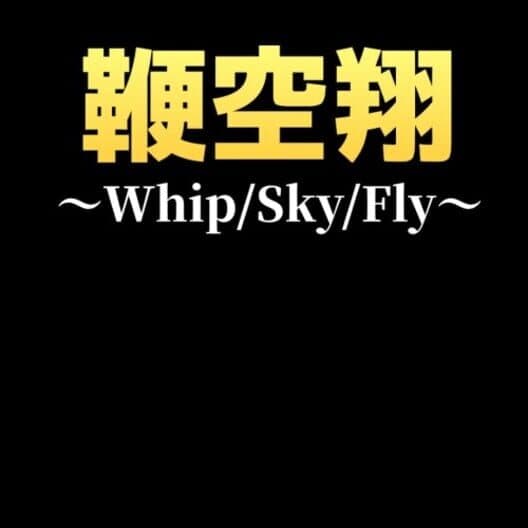 Обложка Whip/Sky/Fly