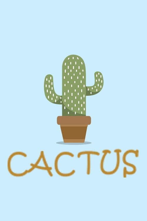 Обложка Cactus