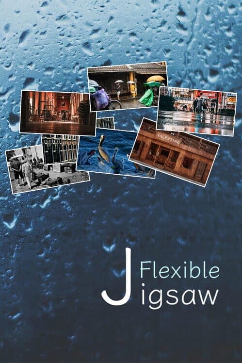 Обложка FlexibleJigsaw: Journey