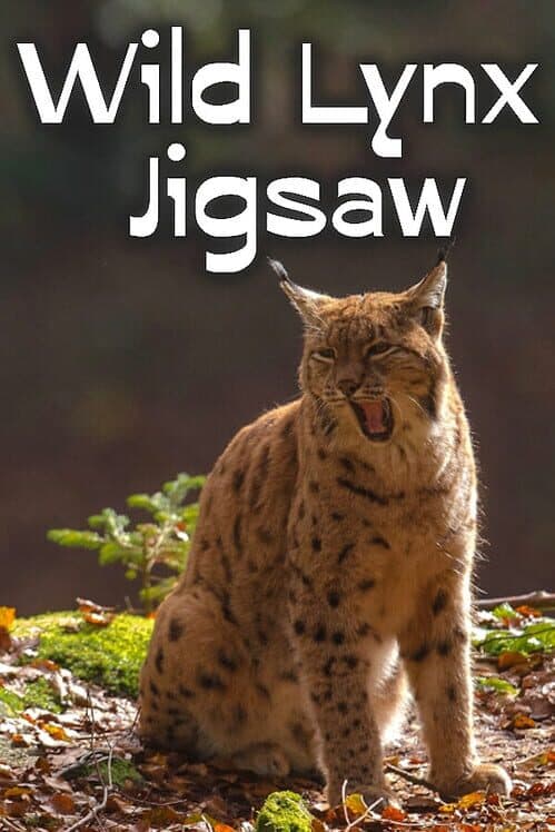 Обложка Wild Lynx Jigsaw