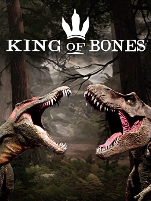 Обложка King of Bones