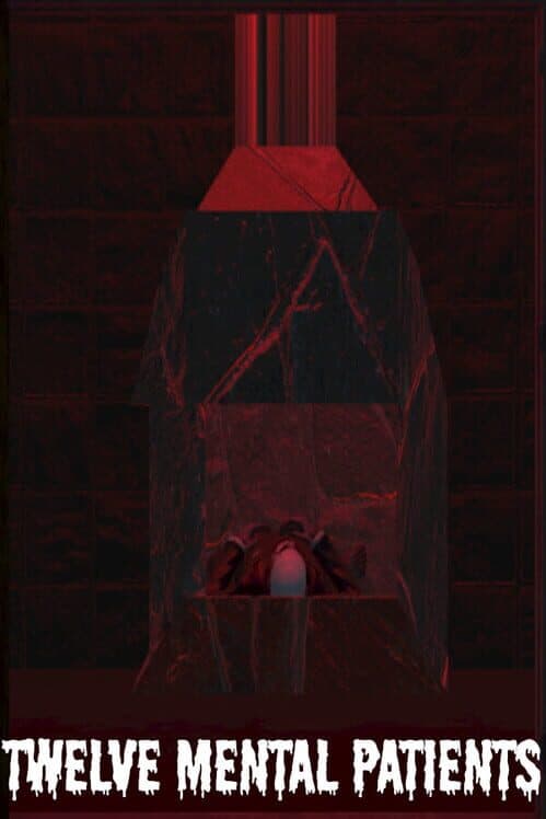 Обложка Twelve Mental Patients