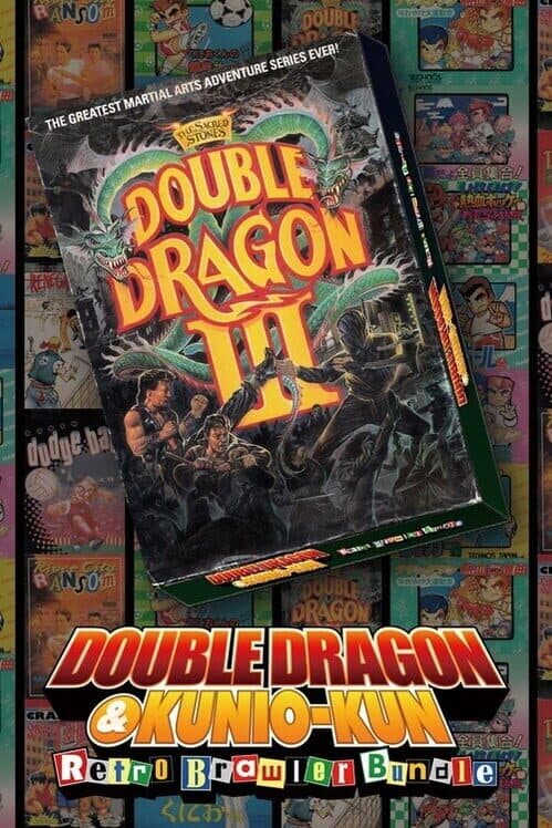 Обложка Double Dragon III: The Sacred Stones