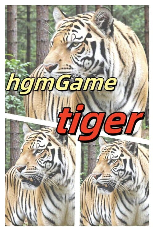 Обложка HgmGame-Tiger