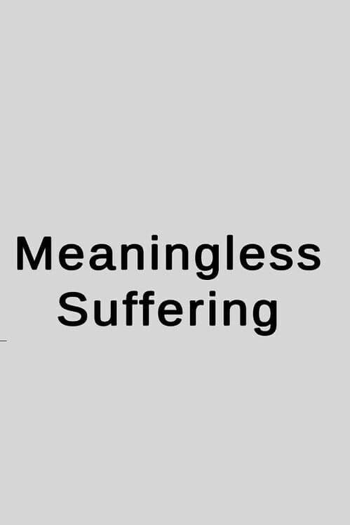 Обложка Meaningless Suffering