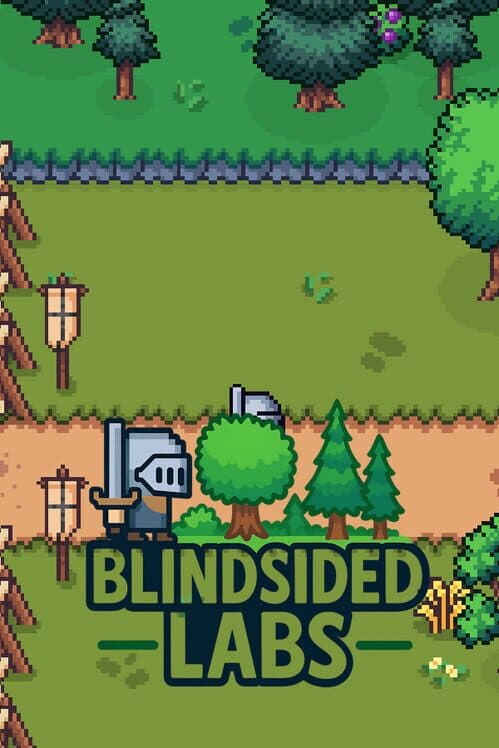 Обложка Blindsided Labs