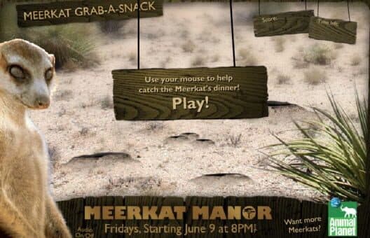 Обложка Meerkat Manor: Meerkat Grab-A-Snack