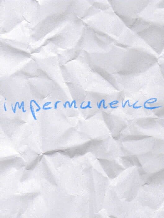Обложка Impermanence
