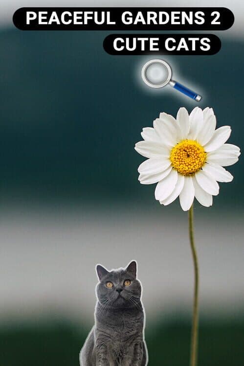 Обложка Peaceful Gardens 2: Cute Cats