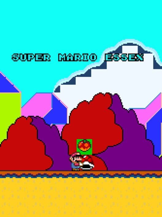 Обложка Super Mario Essex