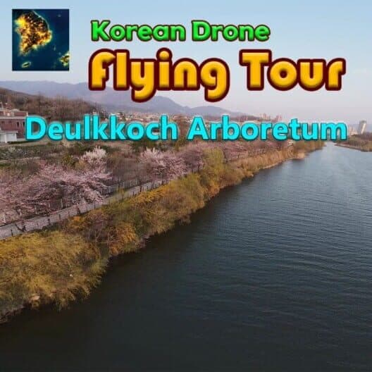 Обложка Korean Drone Flying Tour Deulkkoch Arboretum
