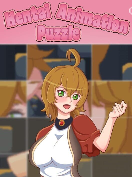 Обложка Hentai Animation Puzzle