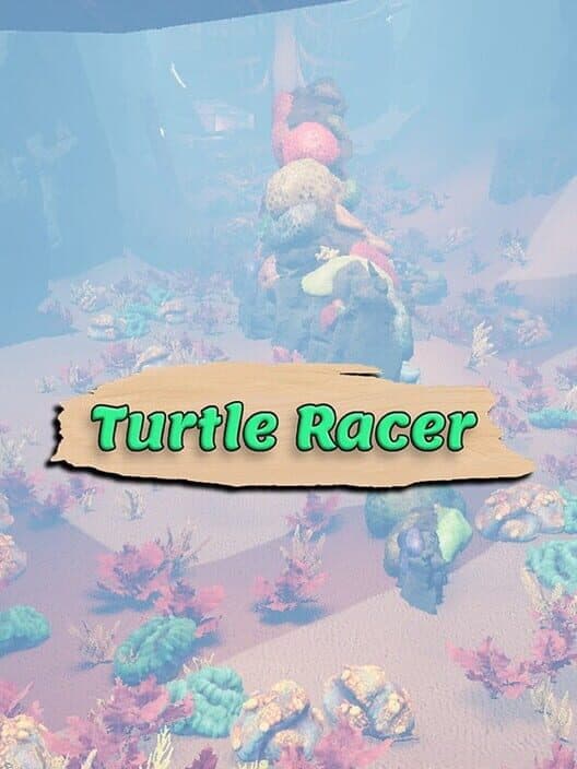 Обложка Turtle Racer