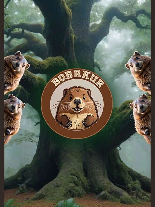 Обложка Bobrkur