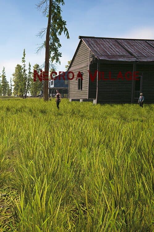 Обложка Necroa Village