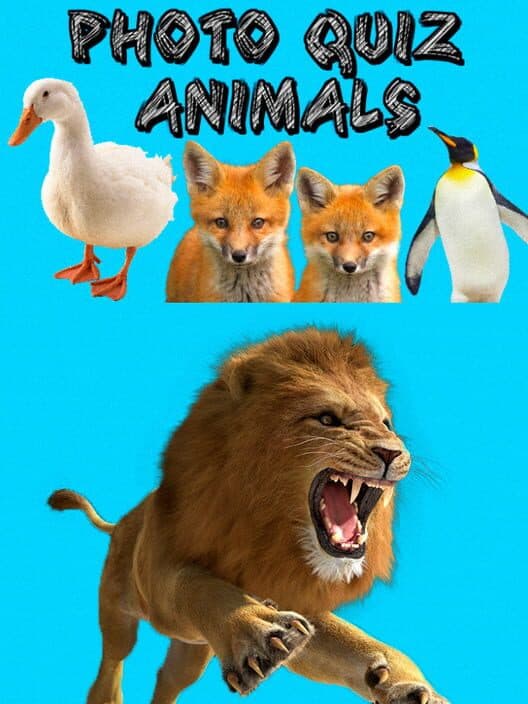 Обложка Photo Quiz: Animals