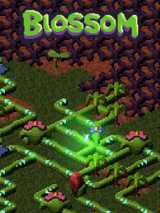 Обложка Blossom