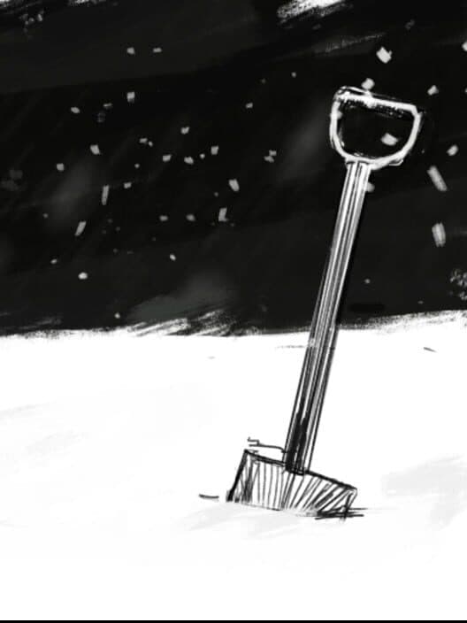 Обложка January