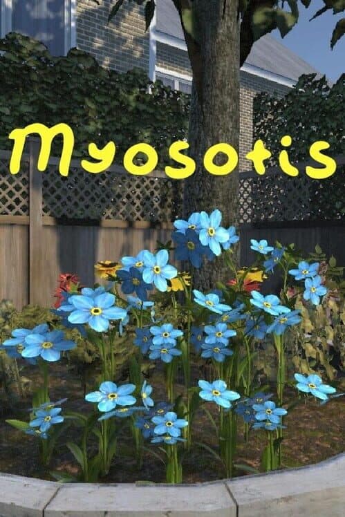 Обложка Myosotis