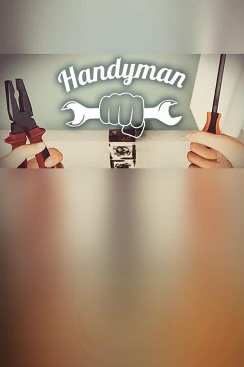 Обложка Handyman
