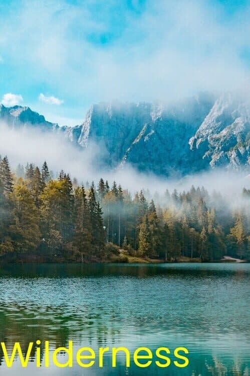 Обложка Wilderness