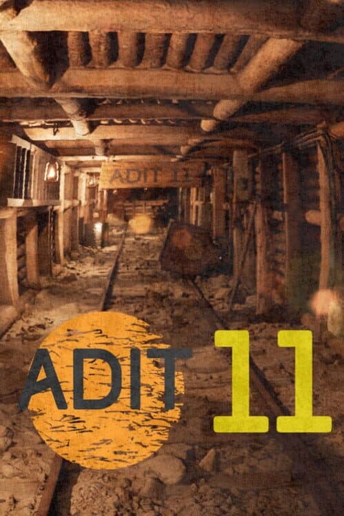 Обложка Adit 11