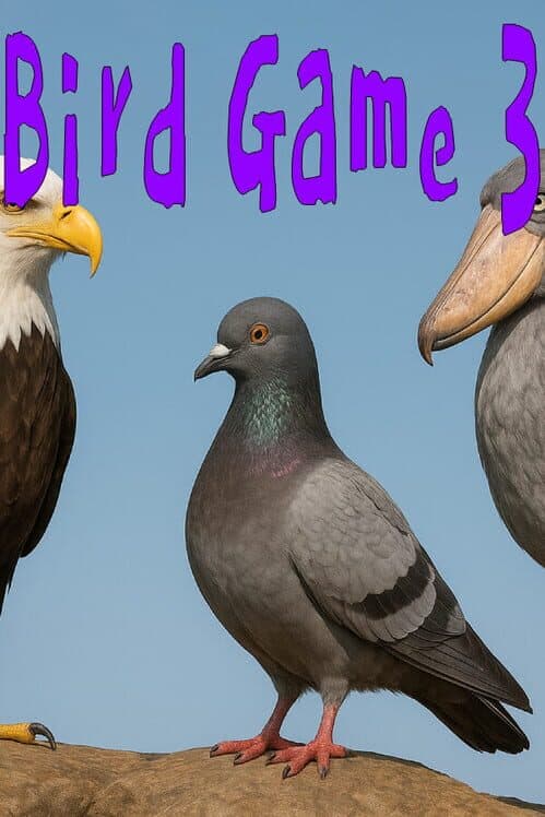Обложка Bird Game 3