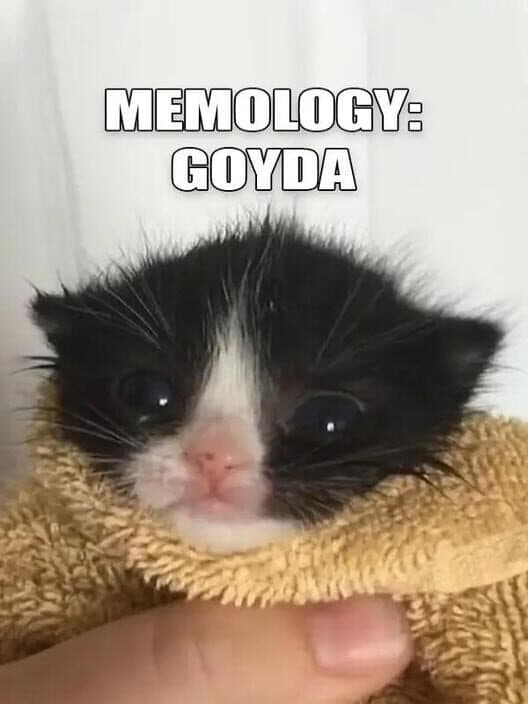 Обложка Memology: Goyda