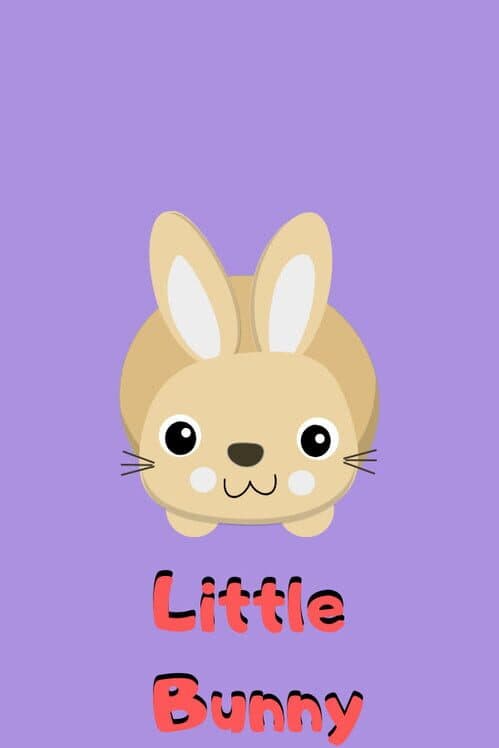 Обложка Little Bunny