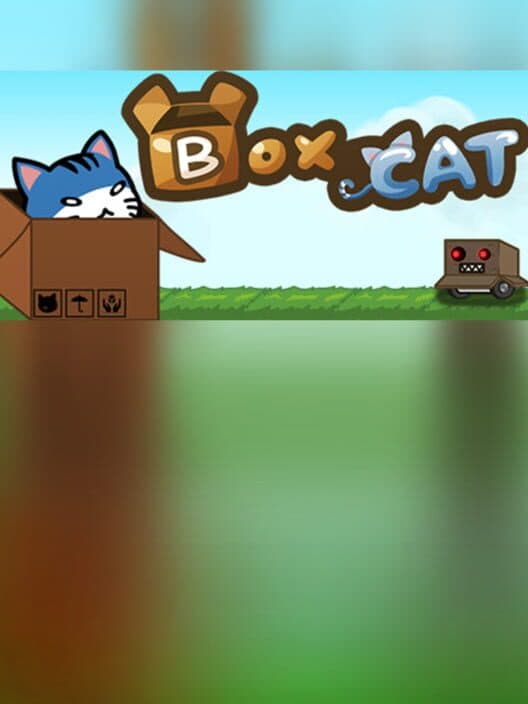 Обложка Box Cat