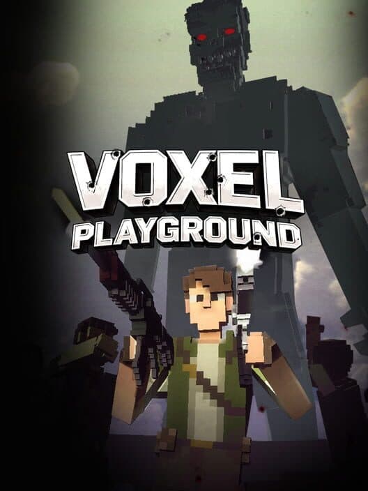 Обложка Voxel Playground