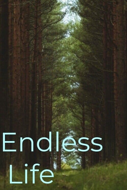 Обложка Endless Life