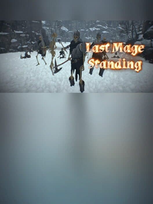 Обложка Last Mage Standing