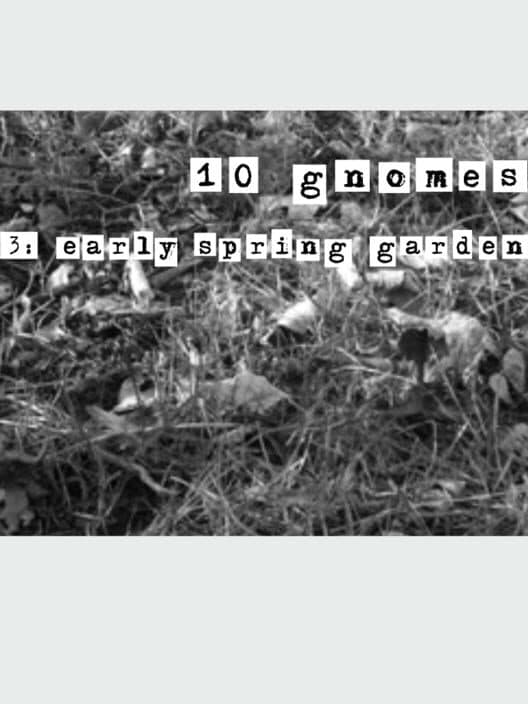 Обложка 10 Gnomes 3: Spring Garden March