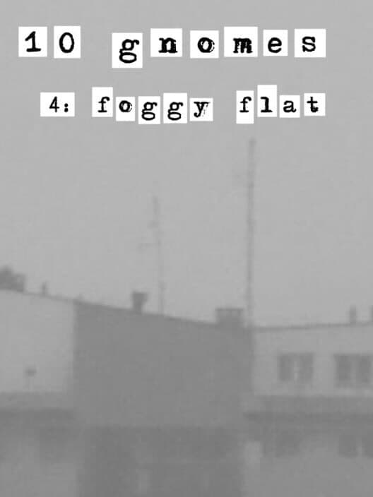 Обложка 10 Gnomes 4: Foggy Flat
