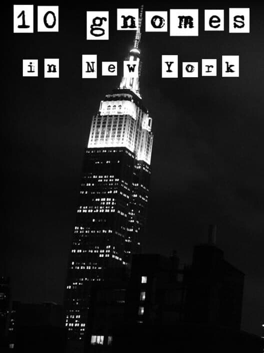 Обложка 10 Gnomes in New York