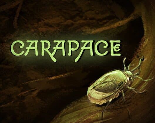 Обложка Caparace