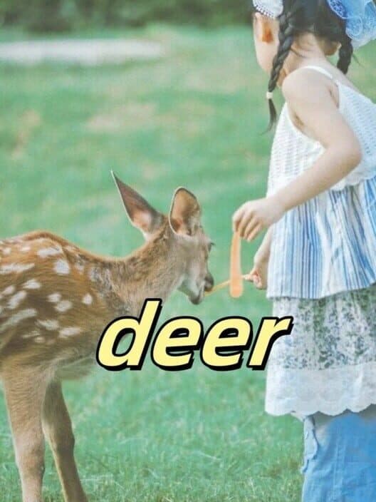 Обложка Deer