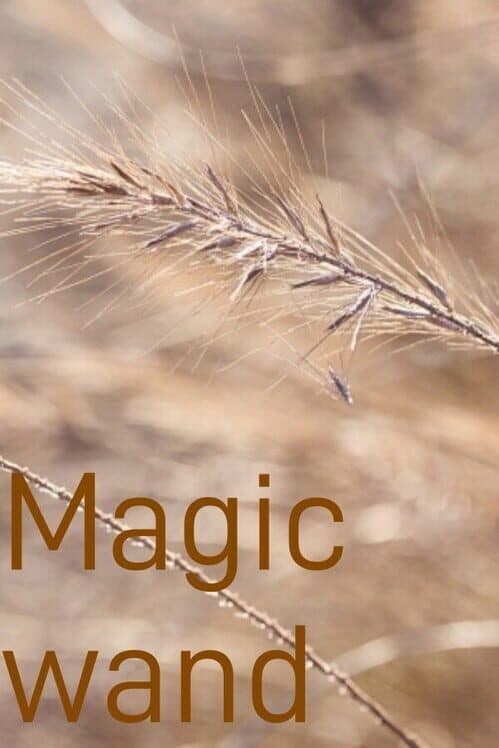 Обложка Magic Wand