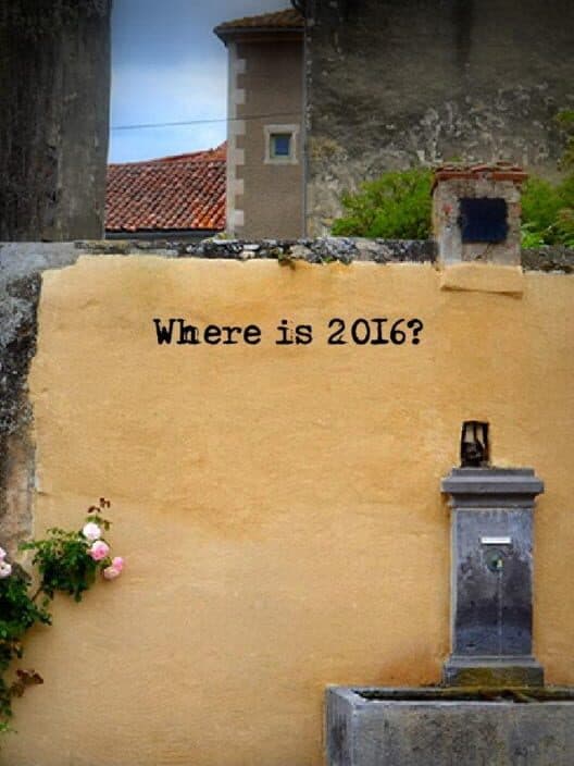 Обложка Where is 2016?