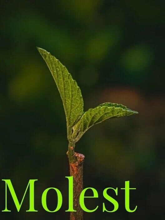 Обложка Molest