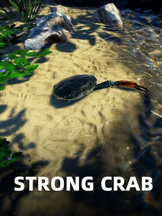 Обложка Strong Crab