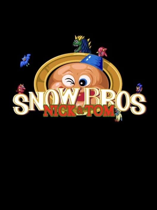 Обложка Snow Bros.