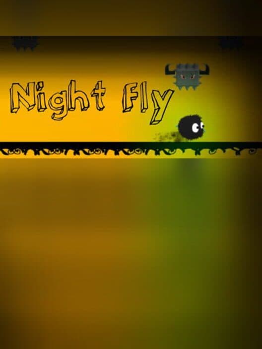 Обложка Night Fly
