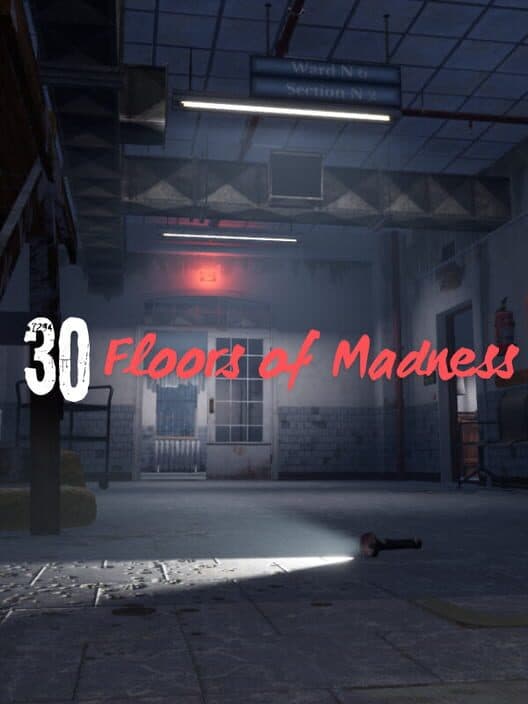Обложка 30 Floors of Madness