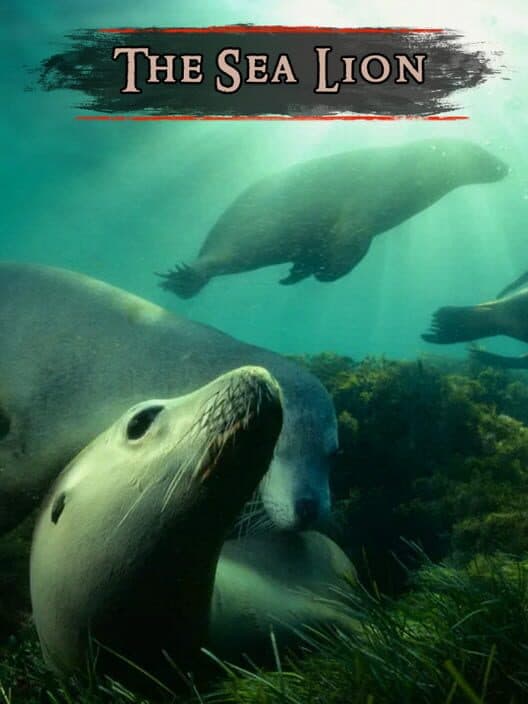 Обложка The Sea Lion