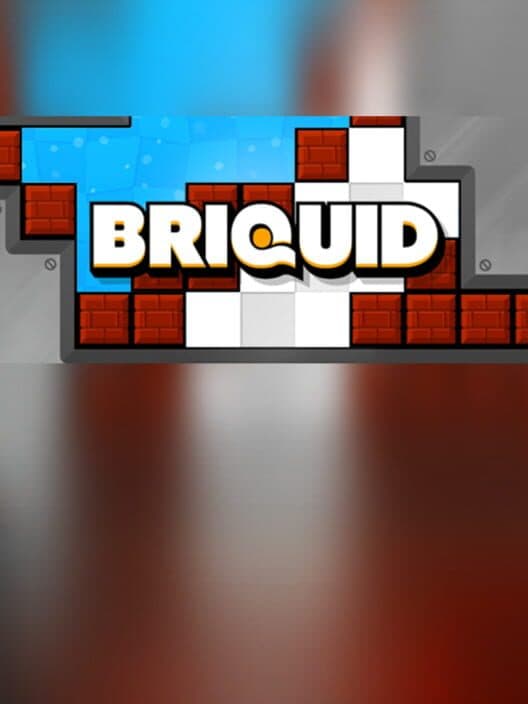 Обложка Briquid