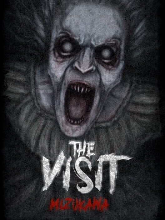 Обложка The Visit: Mizukawa