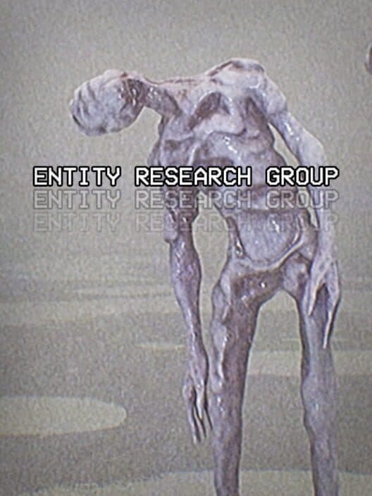Обложка Entity Research Group